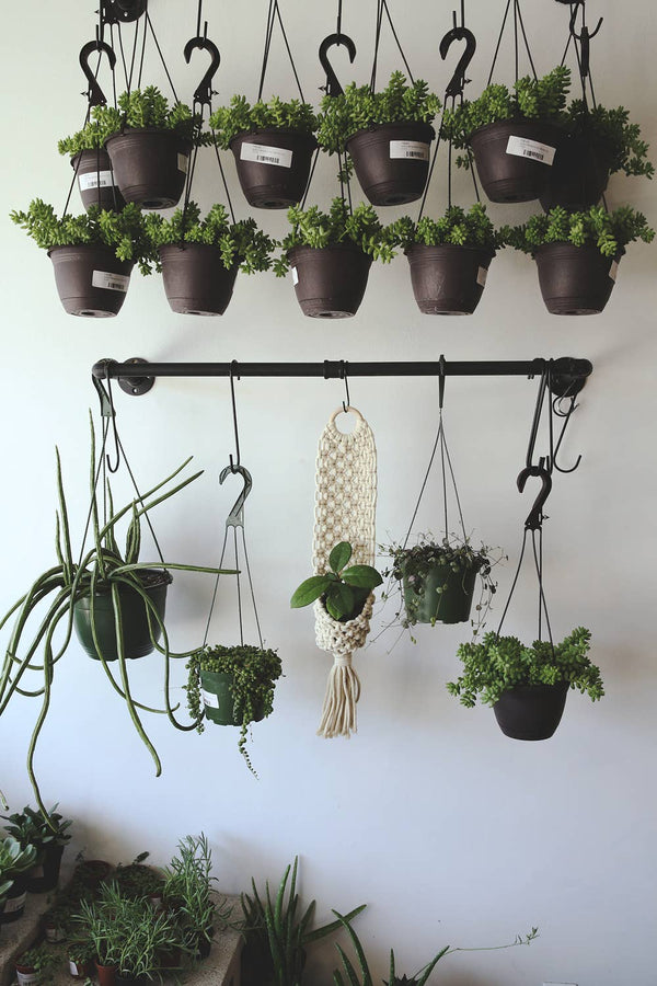 Wall Plant Hanger - DIGS