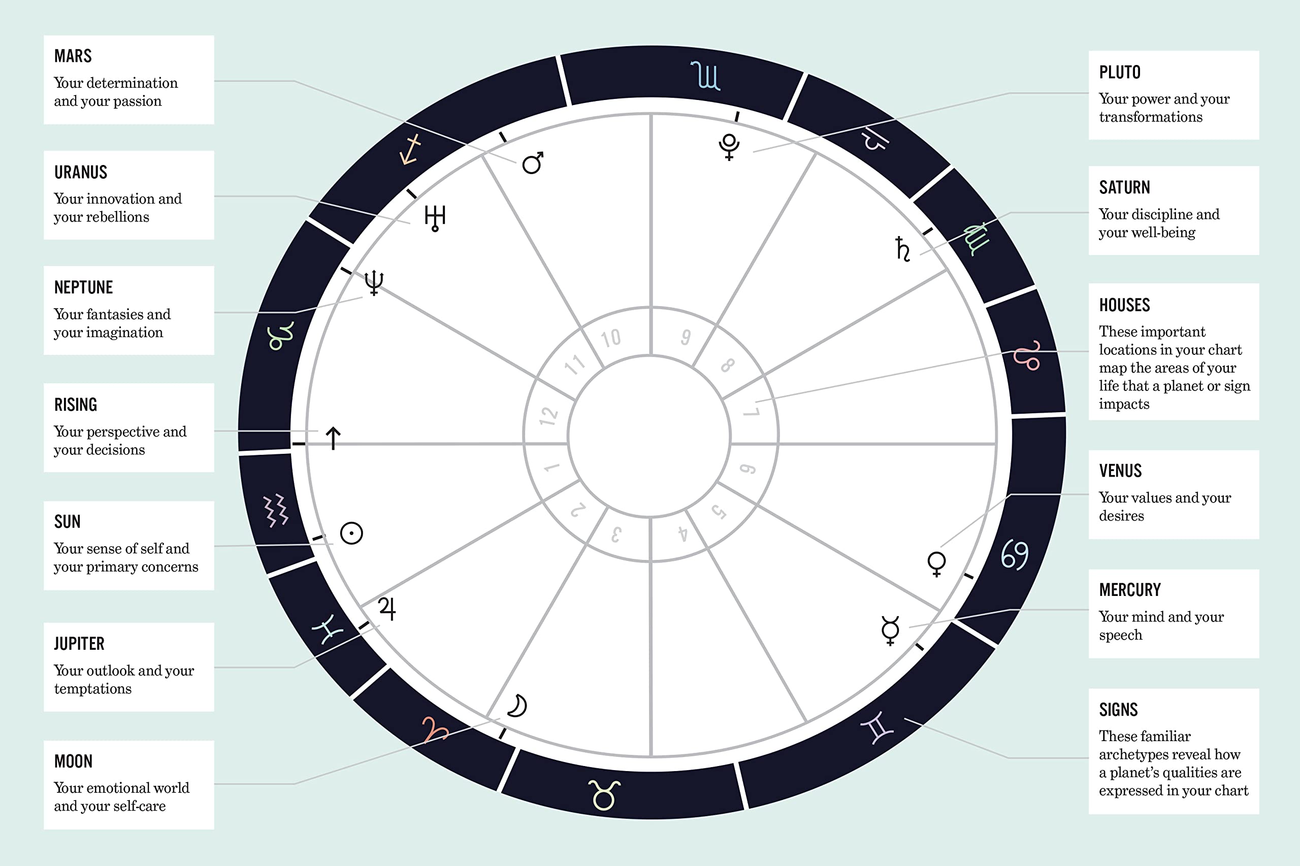 What's Your Sign - DIGS
