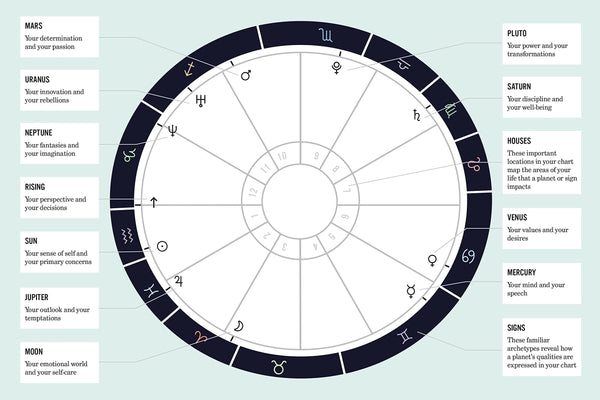 What's Your Sign - DIGS