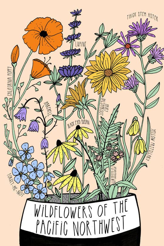 Wildflowers of Pacific Northwest Postcard - DIGS