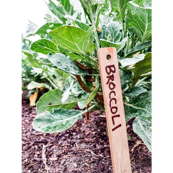 Wood Plant Markers/Stakes - DIGS